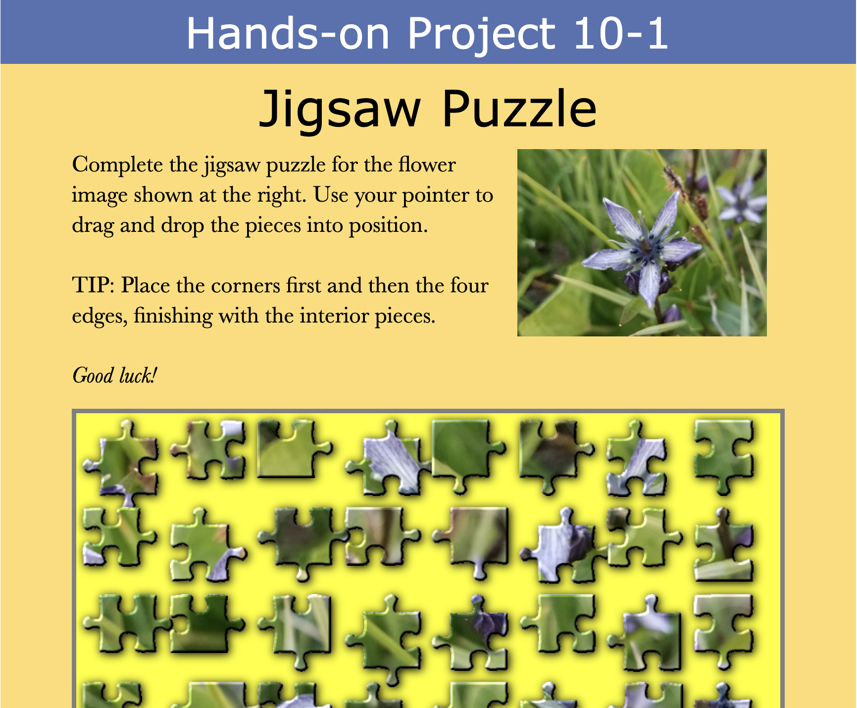 Project 10-1 Preview